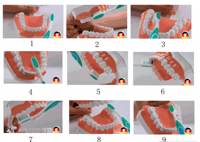 图片9.png 图片9.png