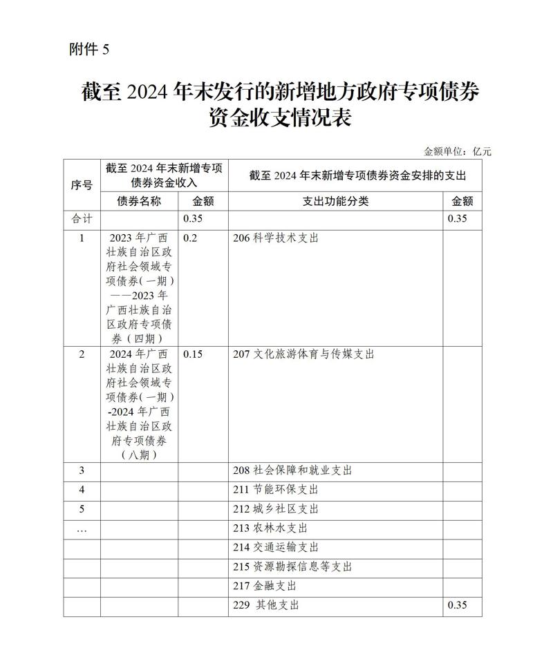 截至2024年末发行的新增地方政府专项债券资金收支情况表